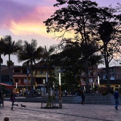 PARQUE EL CARMEN DE VIBORAL